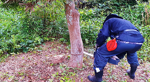 どんな事でも最大限