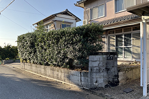 草刈・剪定・伐採